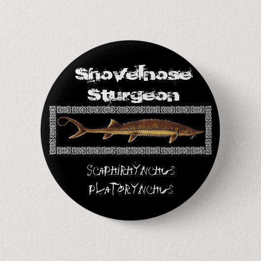 Sturgeon Button - Shovelnose Sturgeon (Voorkant)