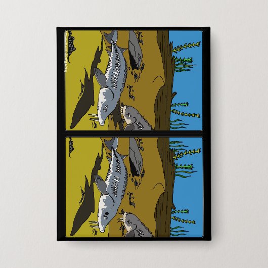 STURGEON COLORING PAGE SPOT DIF - button (Voorkant)