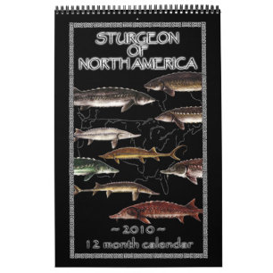 Sturgeon of North America 2010 Calendar Kalender