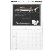 Sturgeon of North America 2010 Calendar Kalender (Mar 2026)