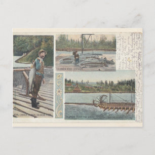 Sturgeon Salmon Wheel Briefkaart