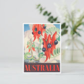 Sturt Desert Pea Australia vintage Briefkaart (Staand voorkant)