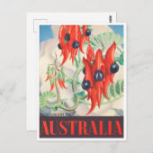 Sturt Desert Pea Australia vintage Briefkaart (Voorkant / Achterkant)