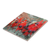 sturt-woestijnveen tegeltje (Zijkant)