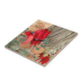 Sturt's woestijnveenplein-tegel tegeltje (Zijkant)