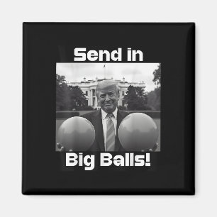 Stuur Big, President Trump en Doge in Magneet