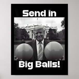 Stuur Big, President Trump en Doge in Poster