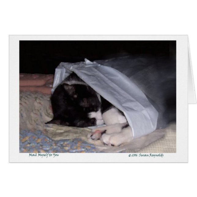 Stuur me naar jou (Voorkant Horizontaal)