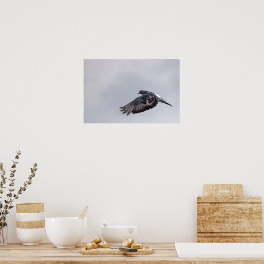 Stuurduif Poster (Keuken)