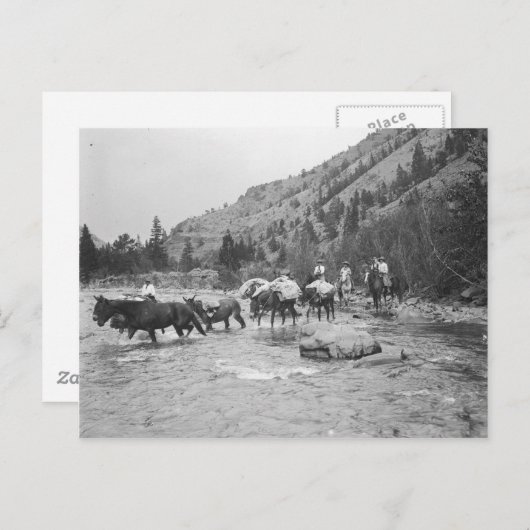 Stuurgroepmodules over een rivier briefkaart (Voorkant / Achterkant)