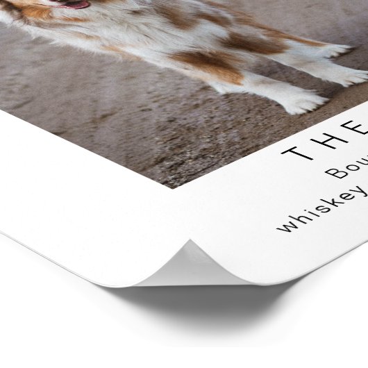 stuurstaafje voor retropet-handtekening poster (Hoek)