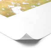 STUURTIGERS POSTER (Hoek)