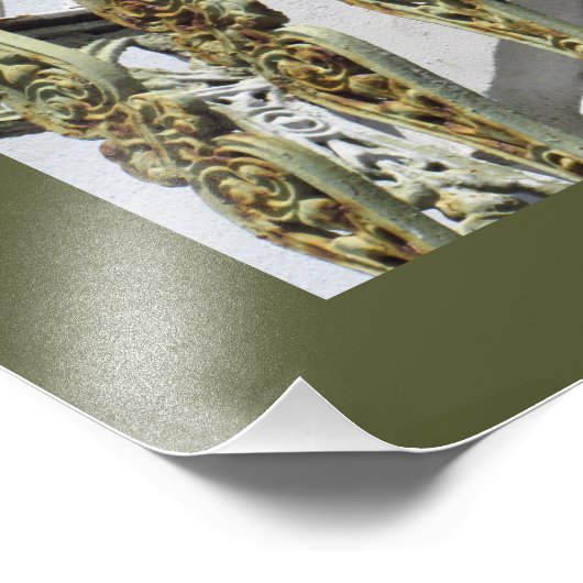 Stuwduif in het Oude San Juan Foto Afdruk (Hoek)