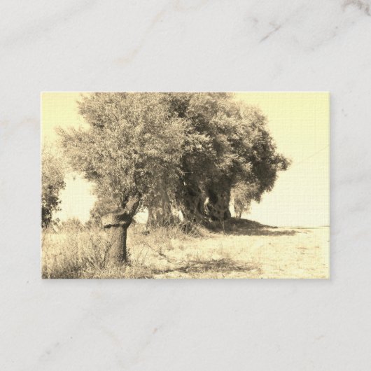 STYLE ART&DESIGN carte de visite (Devant)