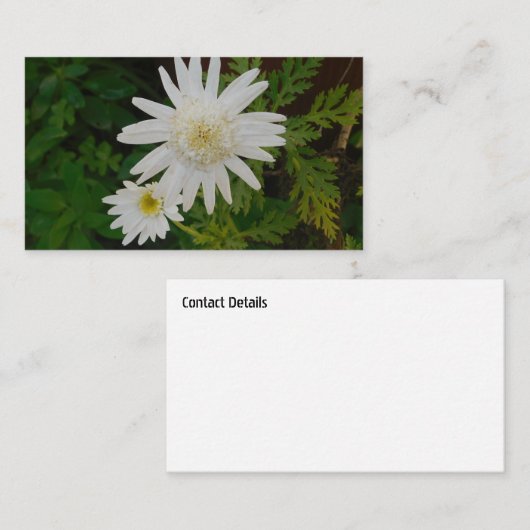 STYLE ART&DESIGN carte de visite (Devant / Derrière)