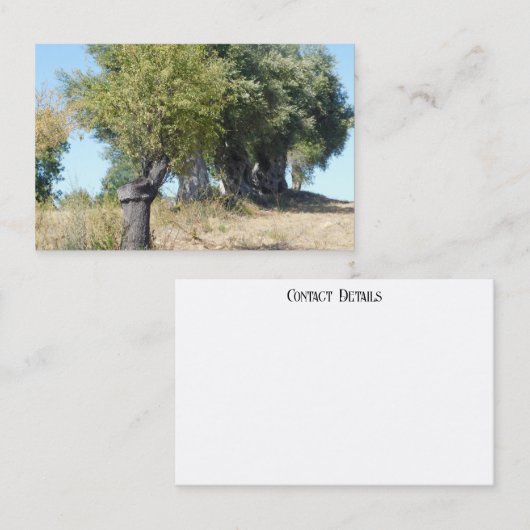 STYLE ART&DESIGN carte de visite (Devant / Derrière)