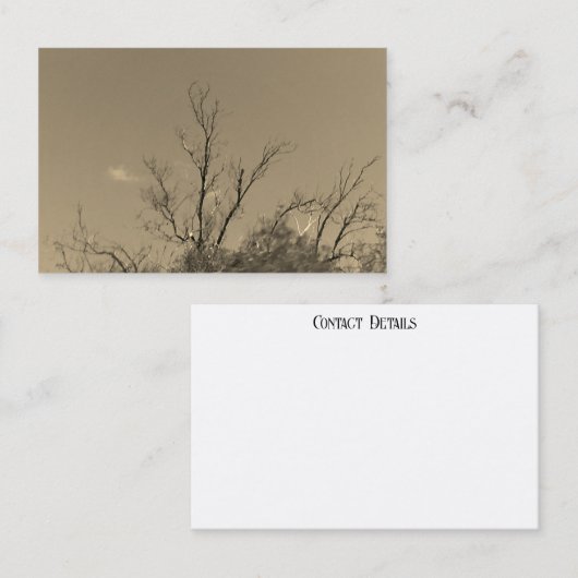 STYLE ART&DESIGN carte de visite (Devant / Derrière)