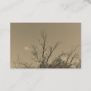 STYLE ART&DESIGN carte de visite