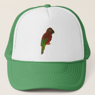 STYLE ART ET DESIGN casquette