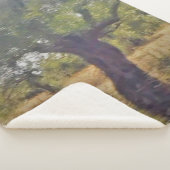 Style artistique et design de couverture Sherpa (3/4)