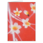 Style asiatique - Carte (Devant)