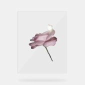 STYLE DE CONCEPTION ROSE DE SIGNE ACRYLIQUE (Recto)