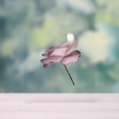 STYLE DE CONCEPTION ROSE DE SIGNE ACRYLIQUE (Neutre)