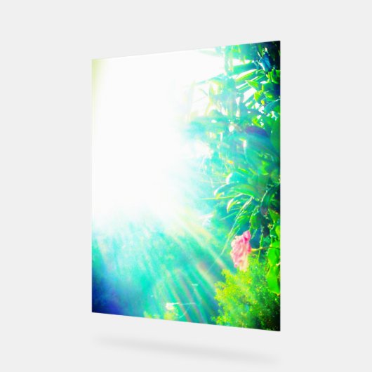 STYLE DE CONCEPTION ROSE DE SIGNE ACRYLIQUE (Angle)