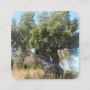 Style design carte de visite