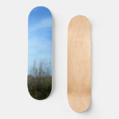 STYLE ET CONCEPTION DE PLANCHE À ROULETTE (Recto)