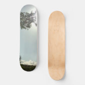 STYLE ET CONCEPTION DE PLANCHE À ROULETTE (Recto)