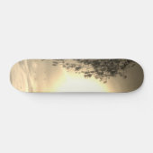 style et conception de skateboard (Horz)