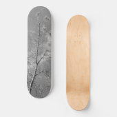 Style et conception du skateboard (Recto)