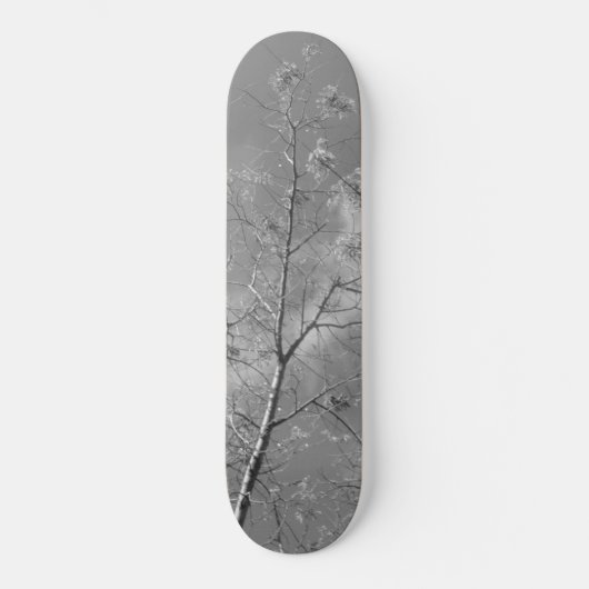 Style et conception du skateboard (Recto)
