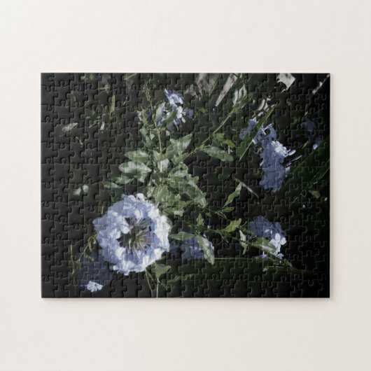 style et design du puzzle (Horizontal)