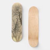 STYLE ET DESIGN SKATEBOARD (Recto)