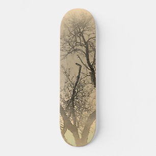 STYLE ET DESIGN SKATEBOARD