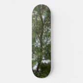 STYLE ET DESIGN SKATEBOARD (Recto)