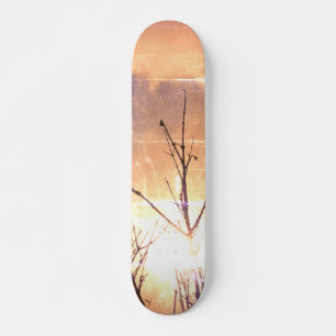 STYLE ET DESIGN SKATEBOARD