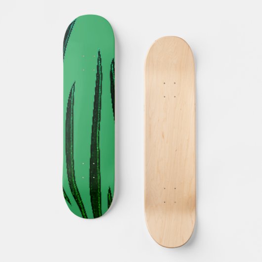 STYLE ET DESIGN SKATEBOARD (Recto)
