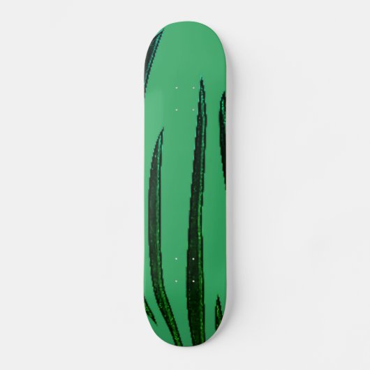 STYLE ET DESIGN SKATEBOARD (Recto)