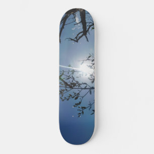 STYLE ET DESIGN SKATEBOARD