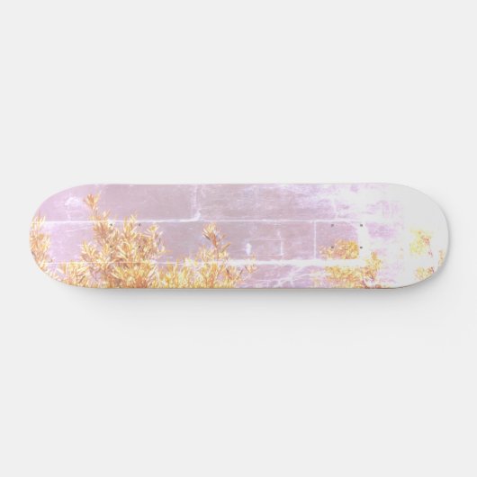 STYLE ET DESIGN SKATEBOARD (Horz)