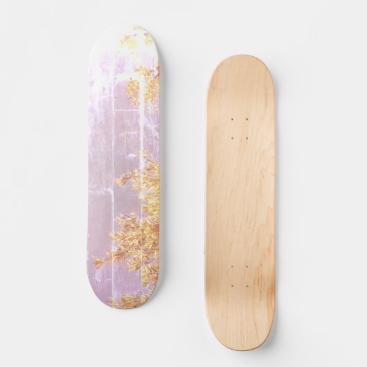STYLE ET DESIGN SKATEBOARD (Recto)