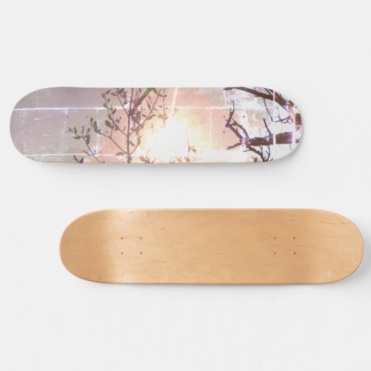 STYLE ET DESIGN SKATEBOARD (Horz)