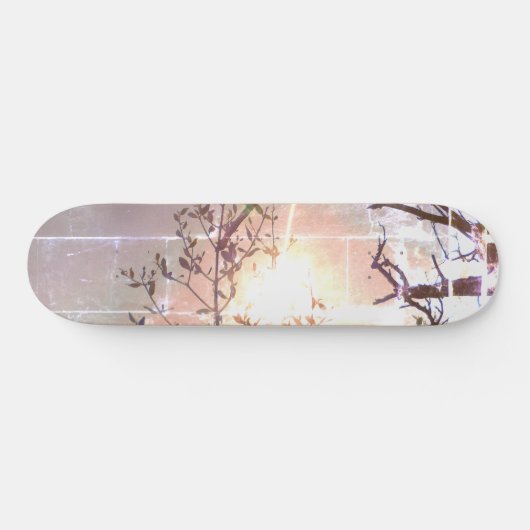 STYLE ET DESIGN SKATEBOARD (Horz)