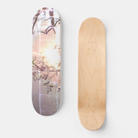 STYLE ET DESIGN SKATEBOARD (Recto)