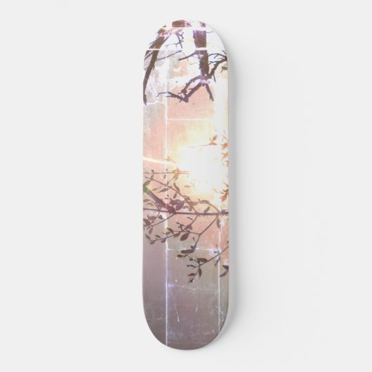 STYLE ET DESIGN SKATEBOARD (Recto)