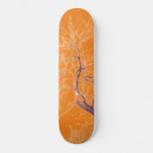 STYLE ET DESIGN SKATEBOARD (Recto)