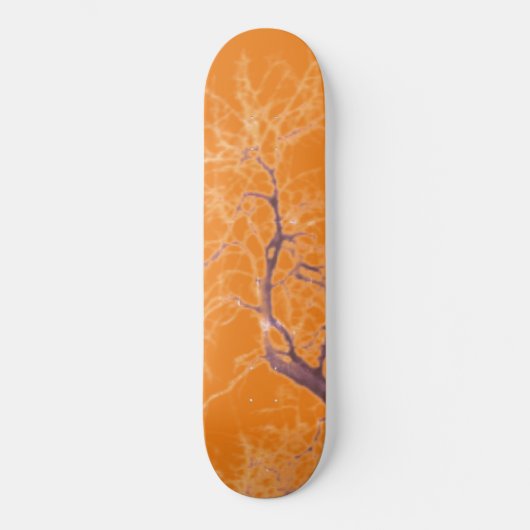 STYLE ET DESIGN SKATEBOARD (Recto)